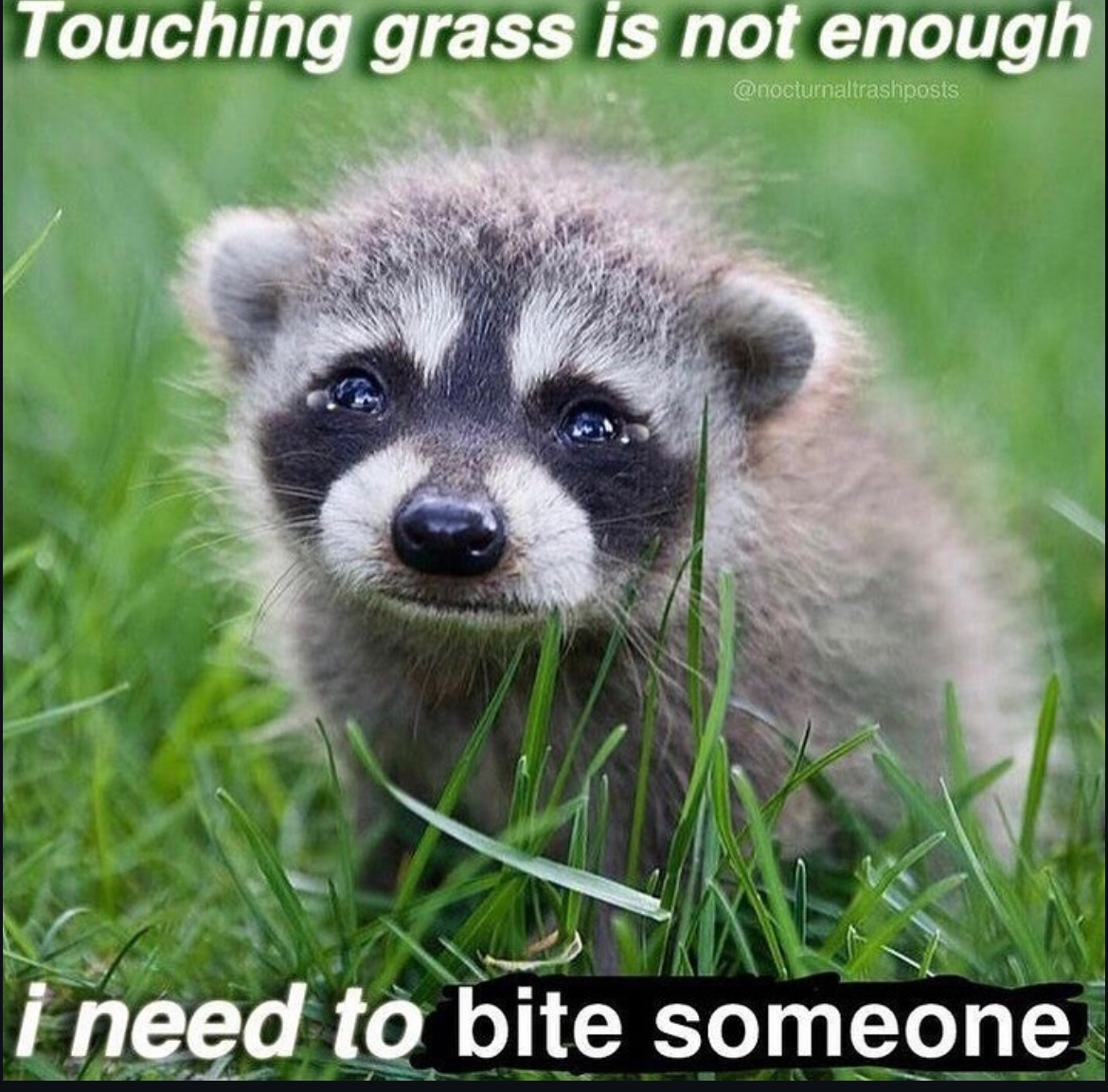 Mood Image 41