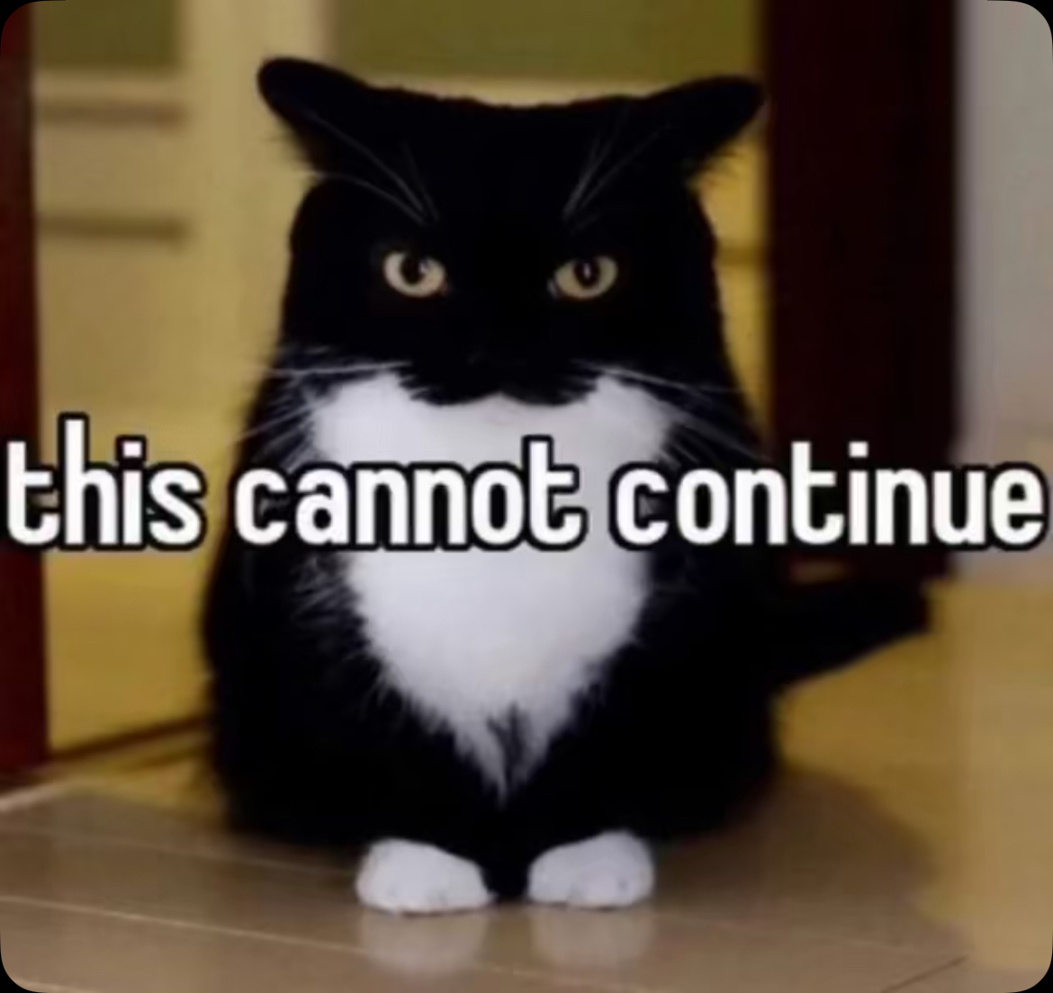 Mood Image 20