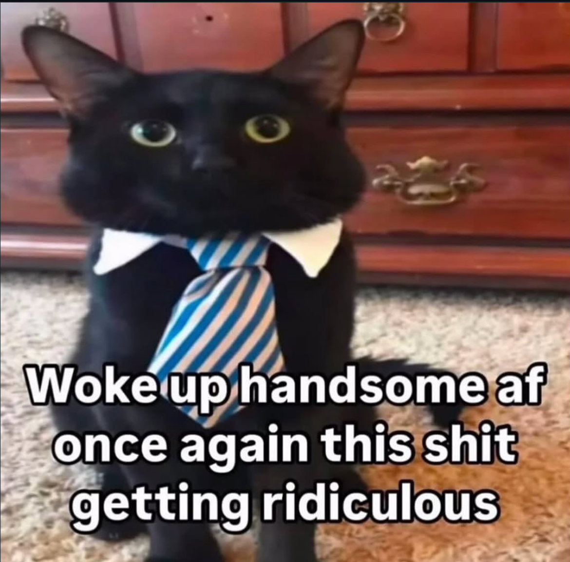 Mood Image 62