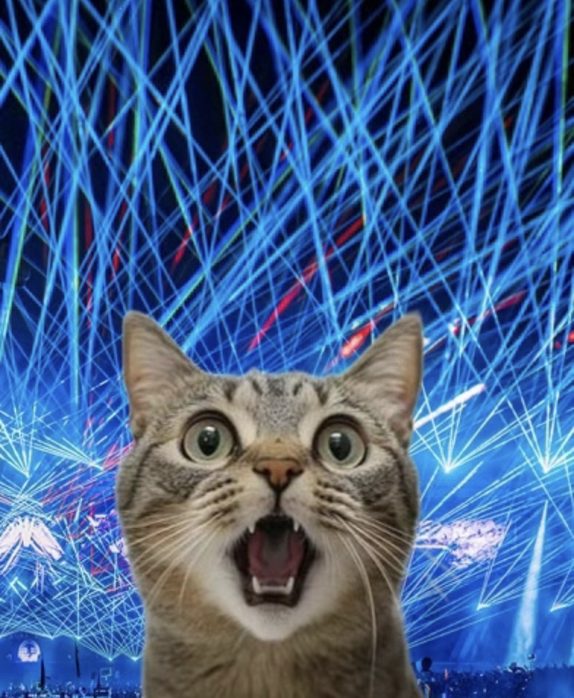 Mood Image 12